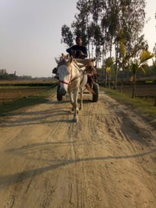 কাঁচা রাস্তা আর পাকা হয় নাঃ দূর্ভোগে জানজায়গীর ও আশে পাশের এলাকাবাসী