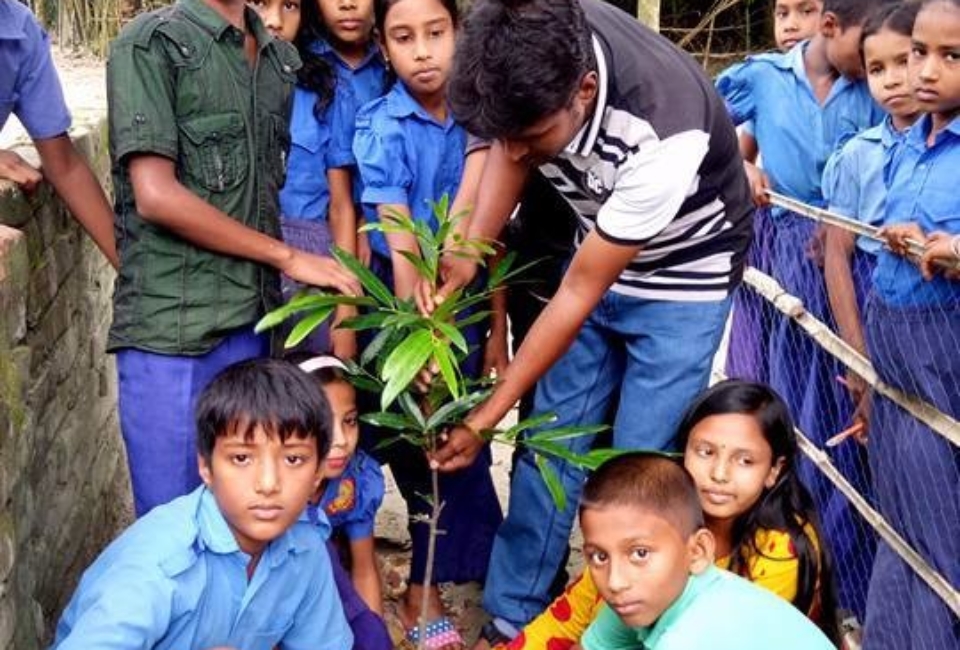Ulipur-Upazila-Primary-School-Tree-Plantation-2017-2