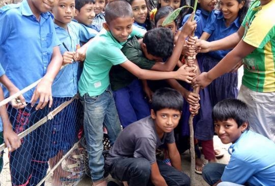 Ulipur-Upazila-Primary-School-Tree-Plantation-2017-3