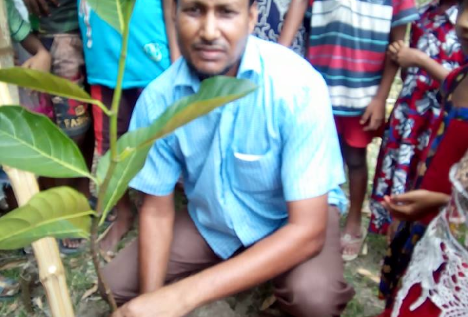 Ulipur-Upazila-Primary-School-Tree-Plantation-2017-7