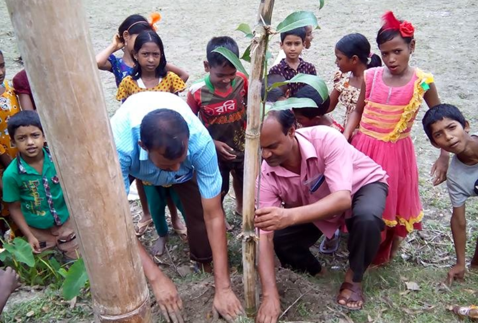 Ulipur-Upazila-Primary-School-Tree-Plantation-2017-8